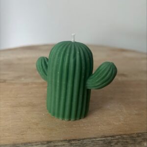 Cactus donker groen